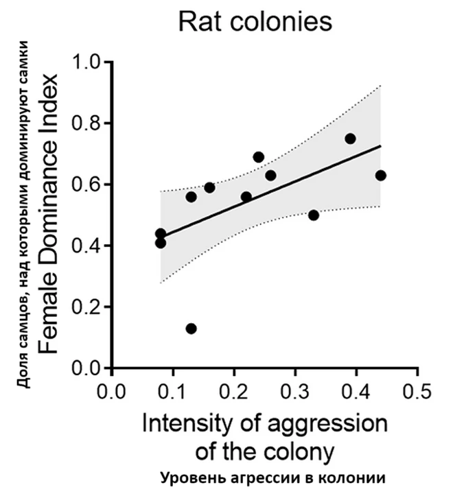 female dominance in rats.png